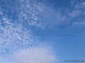 03 Wolkenbilder - SE (Hallands län)