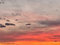 58 Wolkenbilder - DE (MV)